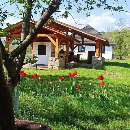 Casa Livada Bunicii Villa Tîrgu Ocna Buitenkant foto