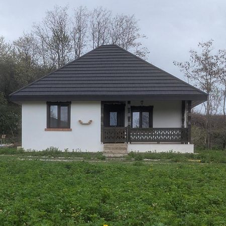 Casa Livada Bunicii Villa Tîrgu Ocna Buitenkant foto