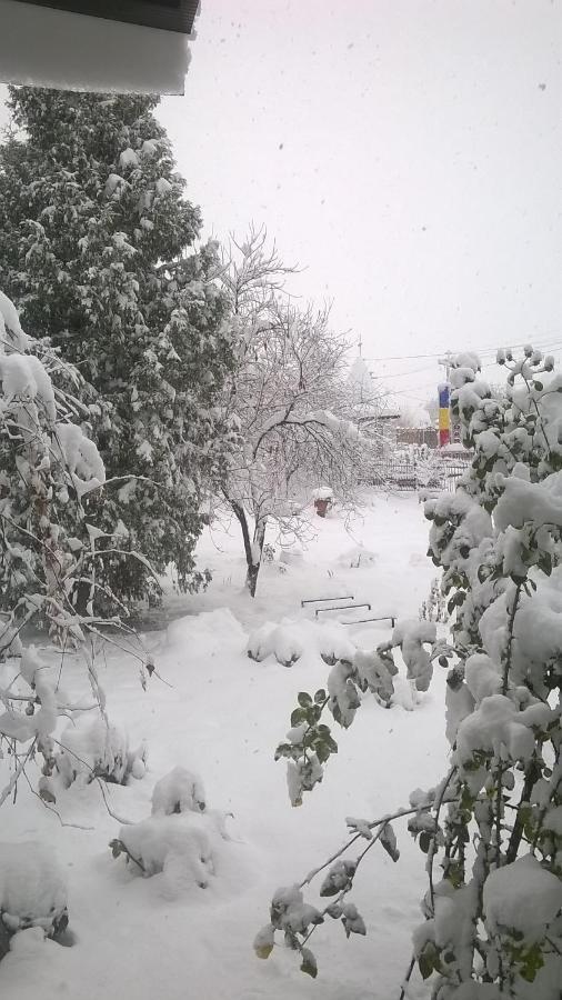 Casa Livada Bunicii Villa Tîrgu Ocna Buitenkant foto