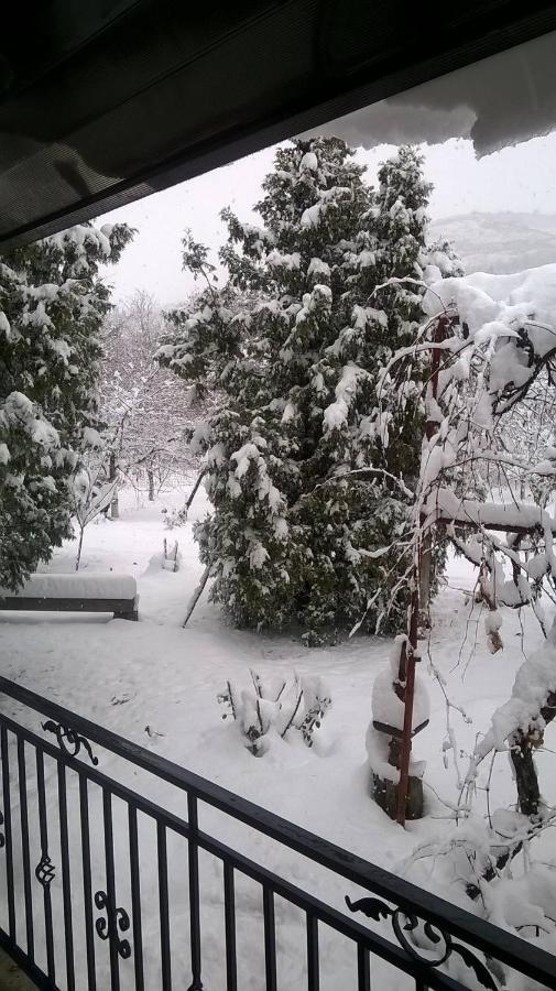 Casa Livada Bunicii Villa Tîrgu Ocna Buitenkant foto