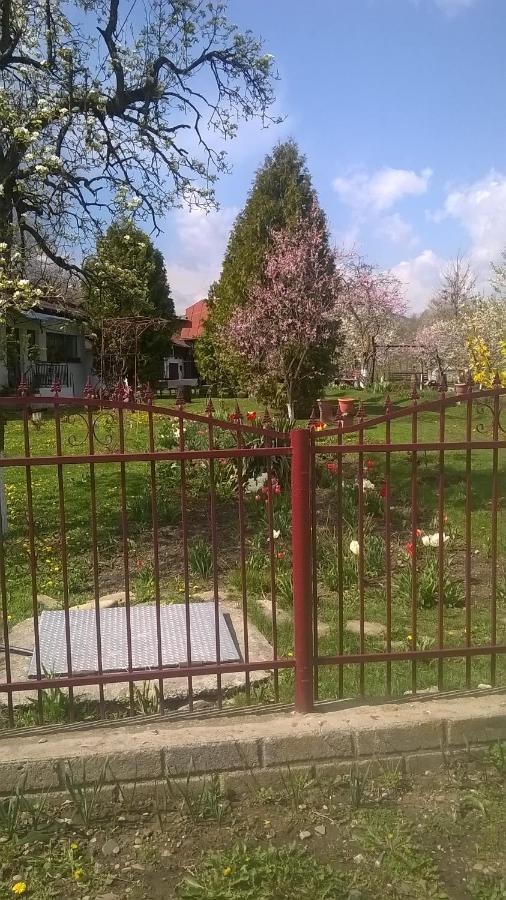 Casa Livada Bunicii Villa Tîrgu Ocna Buitenkant foto