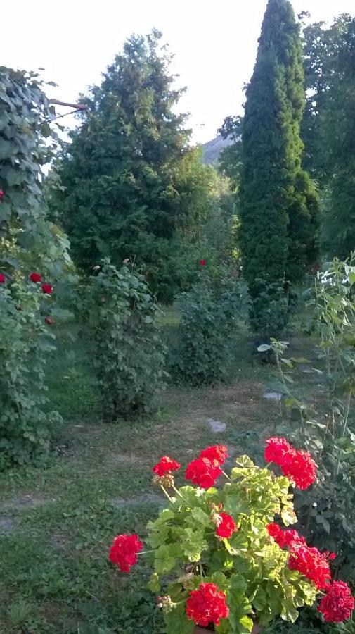 Casa Livada Bunicii Villa Tîrgu Ocna Buitenkant foto