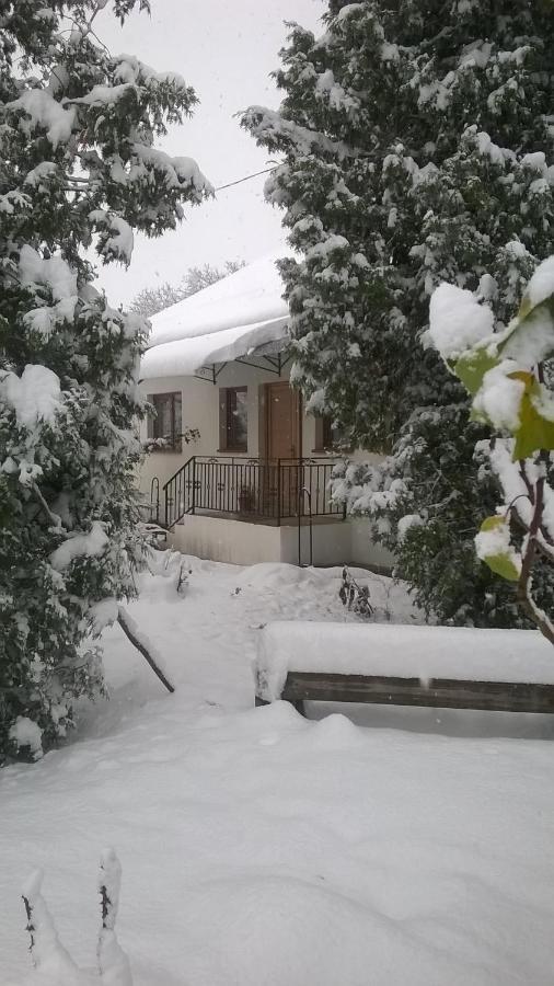 Casa Livada Bunicii Villa Tîrgu Ocna Buitenkant foto