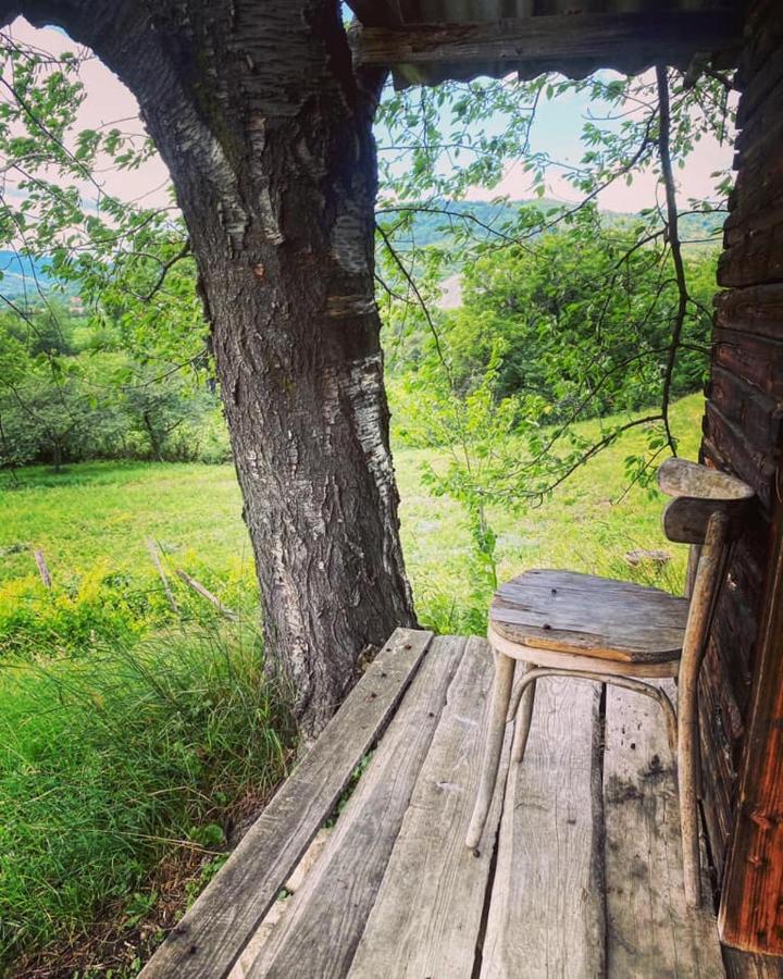 Casa Livada Bunicii Villa Tîrgu Ocna Buitenkant foto