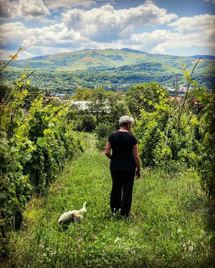 Casa Livada Bunicii Villa Tîrgu Ocna Buitenkant foto