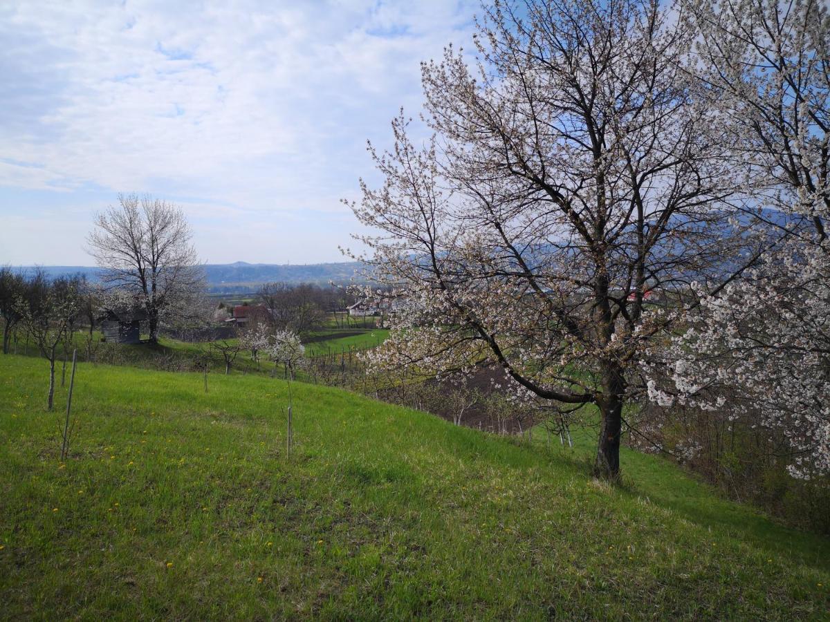 Casa Livada Bunicii Villa Tîrgu Ocna Buitenkant foto
