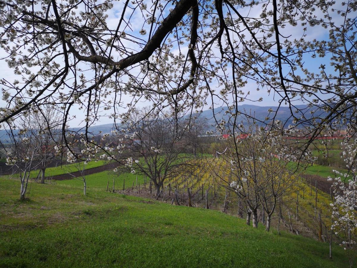 Casa Livada Bunicii Villa Tîrgu Ocna Buitenkant foto
