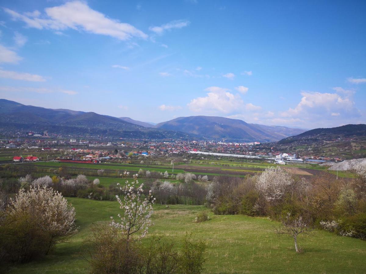 Casa Livada Bunicii Villa Tîrgu Ocna Buitenkant foto