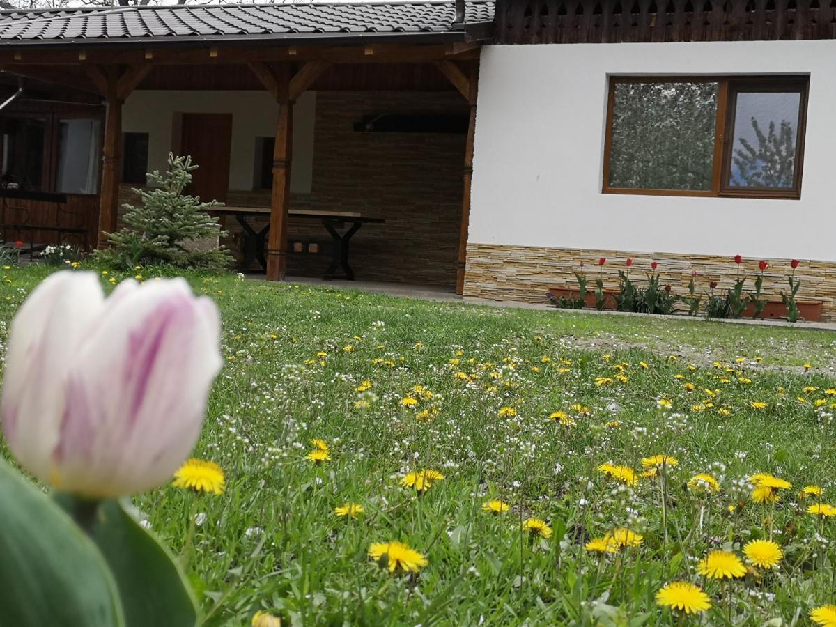 Casa Livada Bunicii Villa Tîrgu Ocna Buitenkant foto