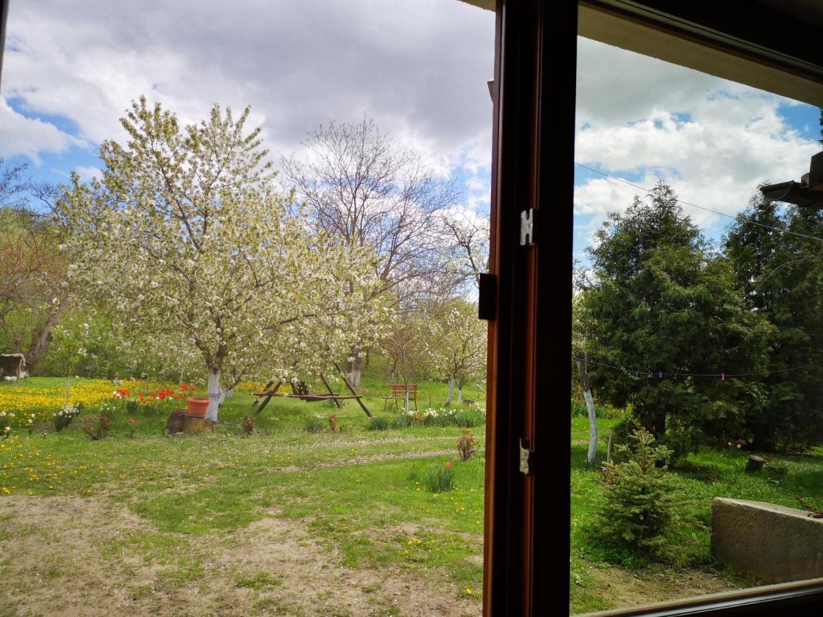 Casa Livada Bunicii Villa Tîrgu Ocna Buitenkant foto