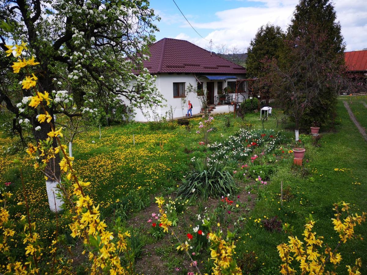 Casa Livada Bunicii Villa Tîrgu Ocna Buitenkant foto