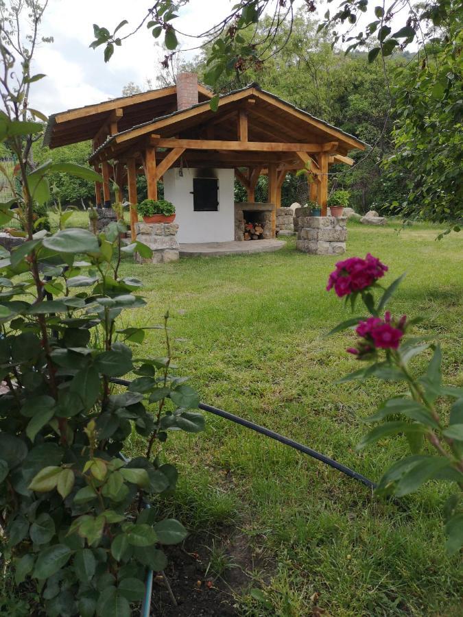 Casa Livada Bunicii Villa Tîrgu Ocna Buitenkant foto