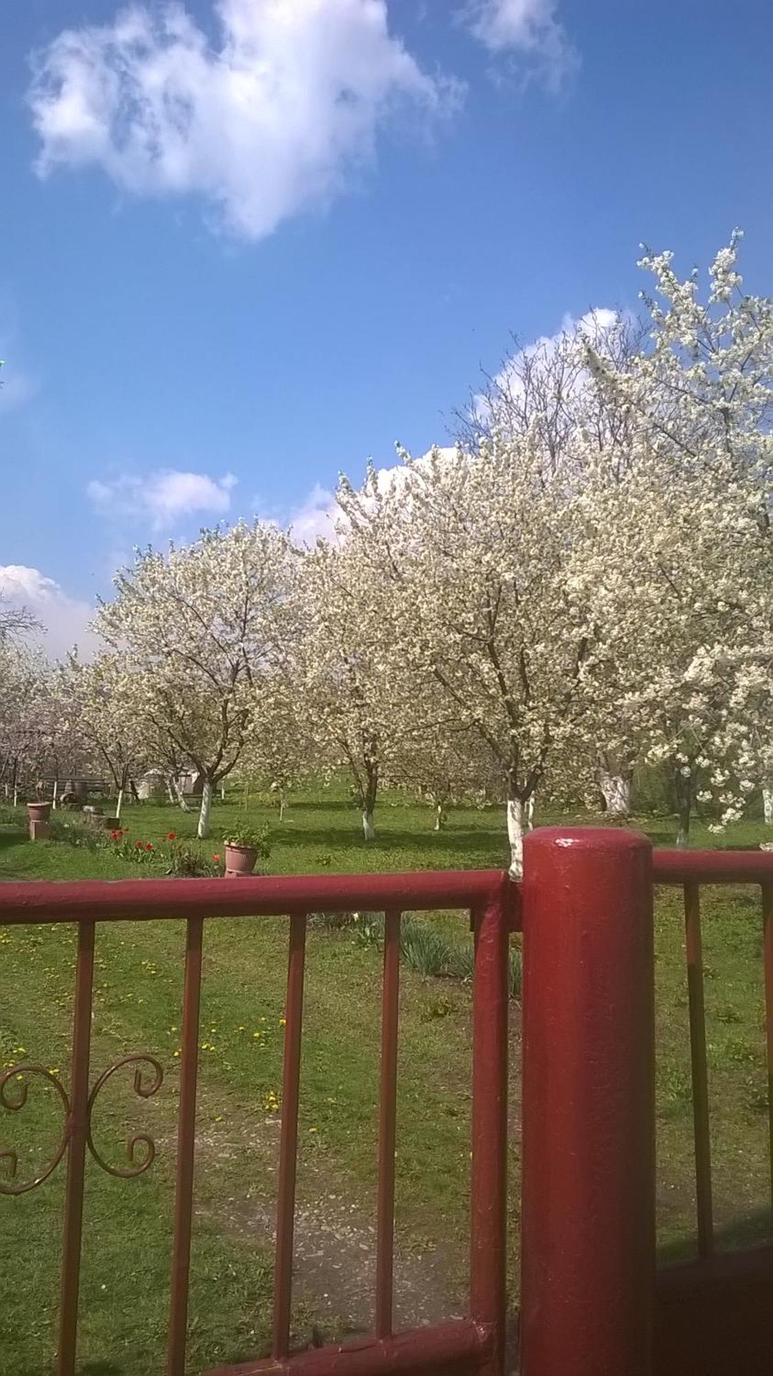 Casa Livada Bunicii Villa Tîrgu Ocna Buitenkant foto