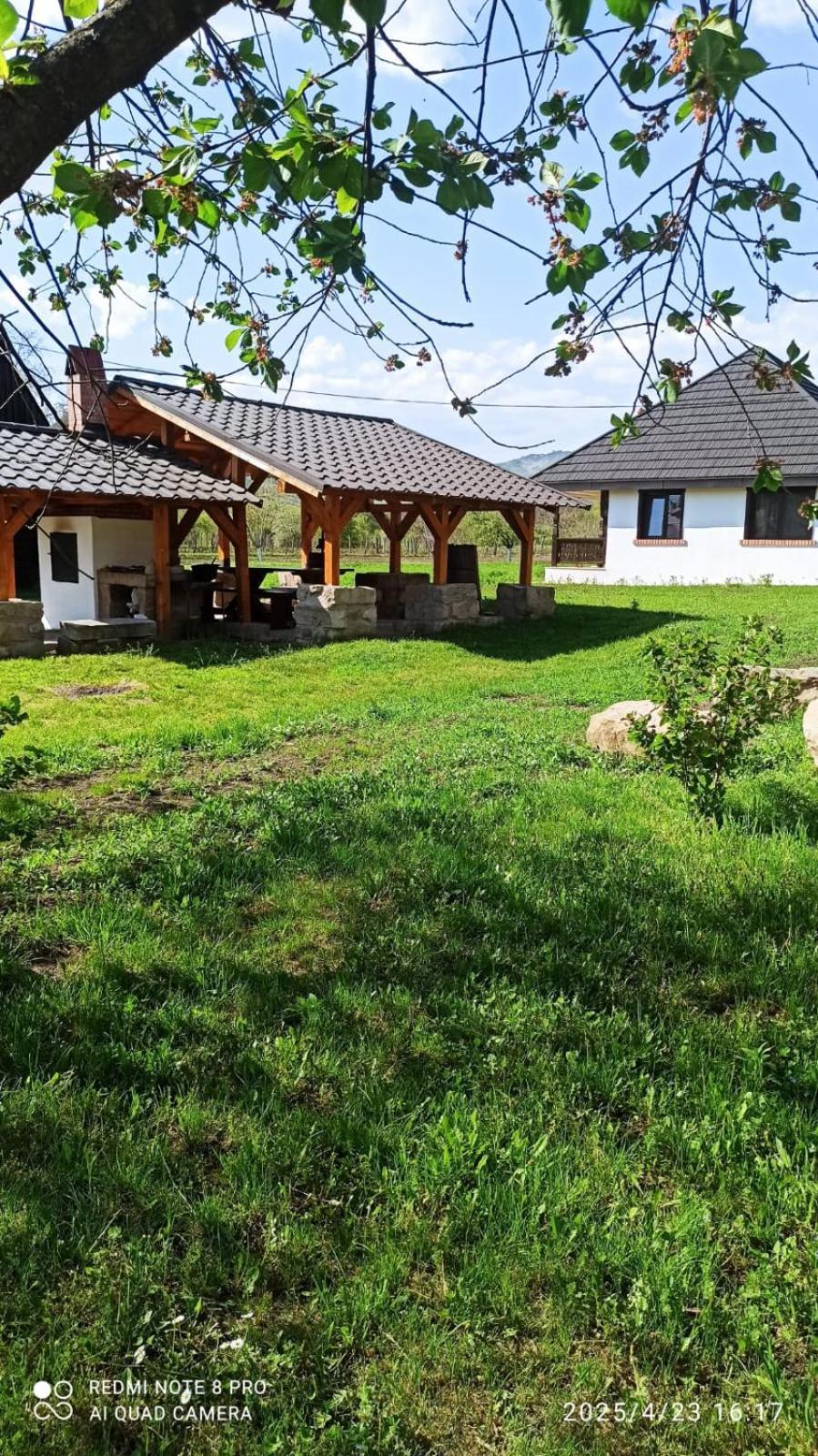 Casa Livada Bunicii Villa Tîrgu Ocna Buitenkant foto