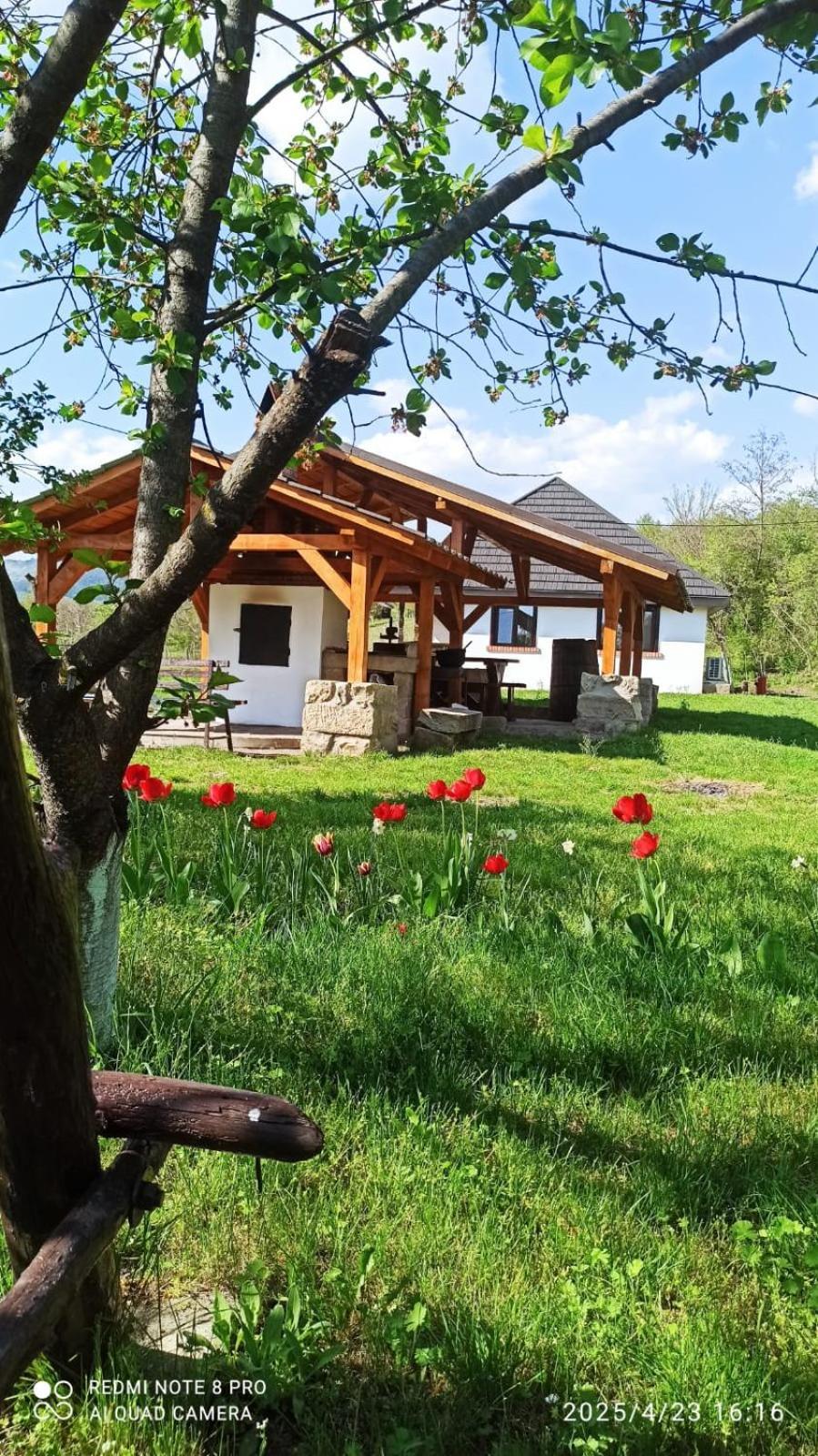 Casa Livada Bunicii Villa Tîrgu Ocna Buitenkant foto