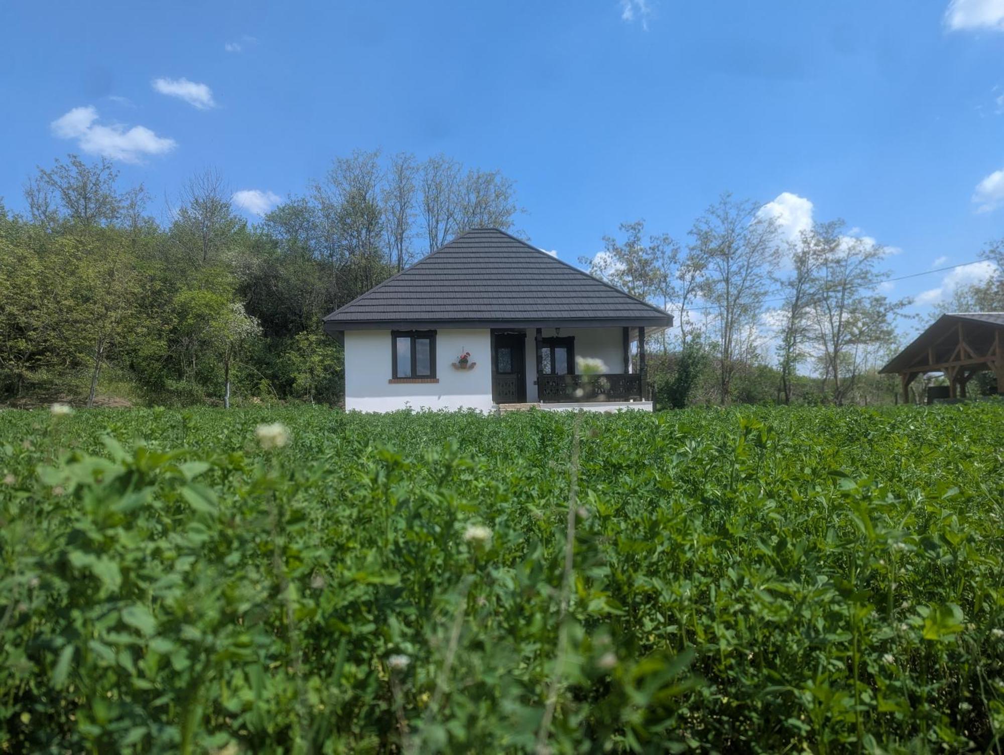 Casa Livada Bunicii Villa Tîrgu Ocna Kamer foto